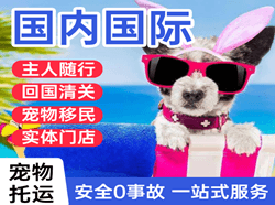 龙嘉国际宠物托运 【国